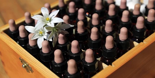 fleurs de bach bouchon