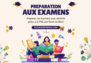 Read more about the article Préparation aux examens et aux partiels