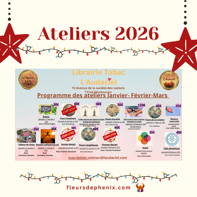 Read more about the article ✨ Programme du 1er trimestre – Ateliers & accompagnements ✨